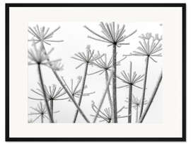 Gerahmter Kunstdruck Gefrorene Blumen im Nebel