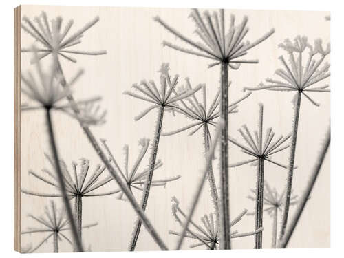 Holzbild Gefrorene Blumen im Nebel