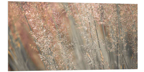 Foam board print Reed grass