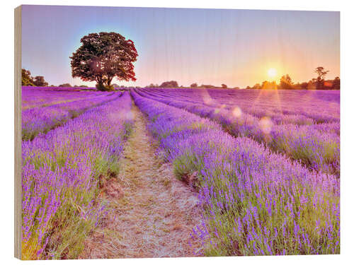 Wood print Lavender Sunset