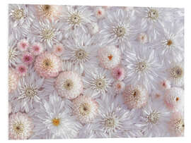 Foam board print Dahlias in a sea of flowers