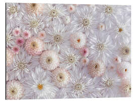 Magnettafel Dahlien im Blumenmeer