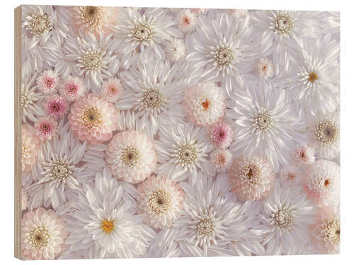 Wood print Dahlias in a sea of flowers