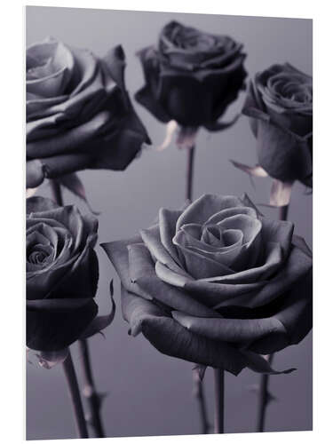 Foam board print Modern roses