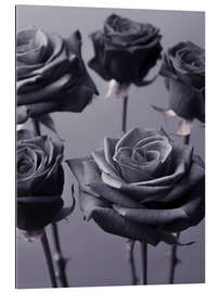 Quadro em plexi-alumínio Modern roses