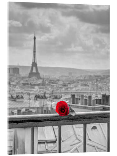 Acrylglasbild Eine rote Rose in Paris