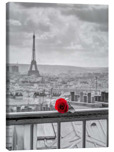 Canvas print A red rose in Paris