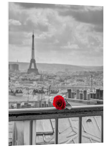 Tableau en PVC Paris et la rose