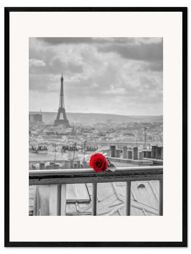 Plakat artystyczny premium w ramie A red rose in Paris