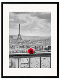 Plakat artystyczny premium w ramie A red rose in Paris