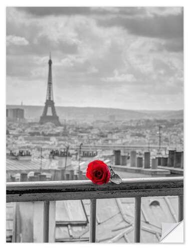 Wandsticker Eine rote Rose in Paris