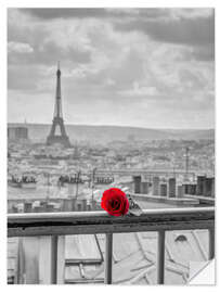 Wandsticker Eine rote Rose in Paris