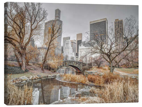 Lienzo Central Park in New York