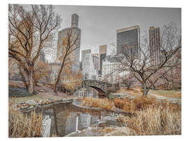 Tableau en PVC Central Park par temps froid, New York