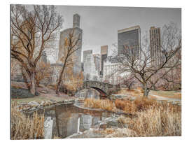 Gallery Print Central Park in New York