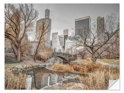 Wandsticker Central Park in New York
