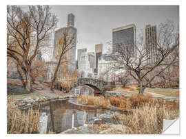 Selvklebende plakat Central Park in New York