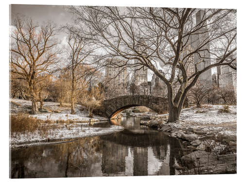 Akrylbillede Central Park New York in winter