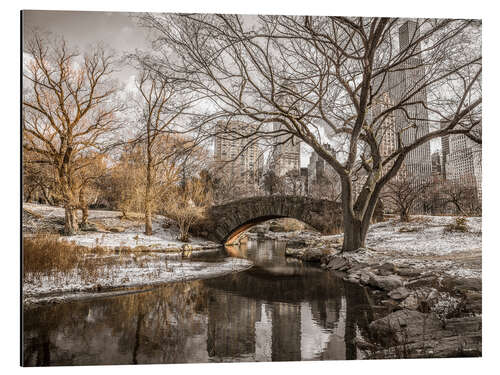 Alubild Central Park New York im Winter