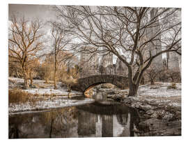 Hartschaumbild Central Park New York im Winter