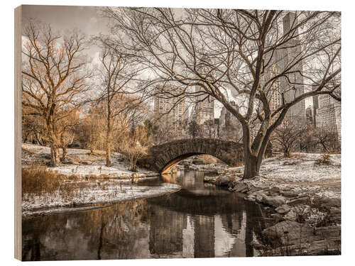 Holzbild Central Park New York im Winter