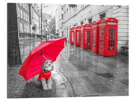 Gallery print Shelter from the rain in London