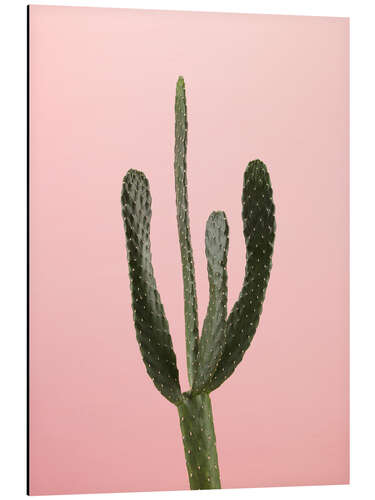 Tableau en aluminium Cactus sur fond rose