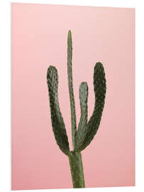 Tableau en PVC Cactus sur fond rose