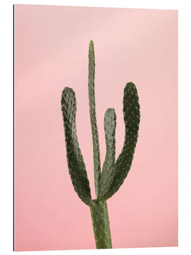 Galleritryk Green cactus on pink