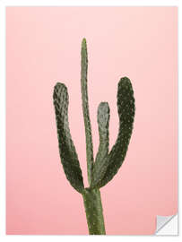 Selvklebende plakat Green cactus on pink