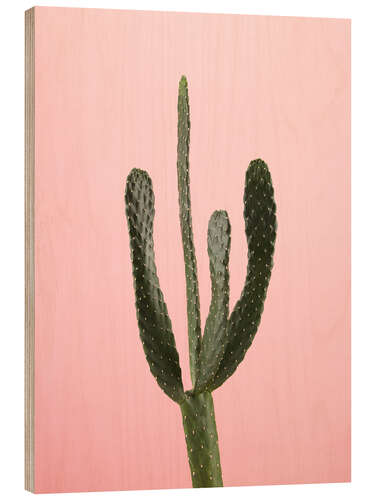 Puutaulu Green cactus on pink