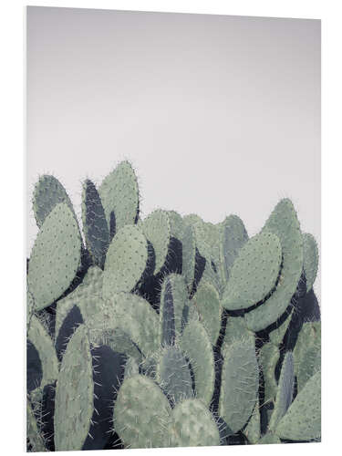 Foam board print Cacti on grey