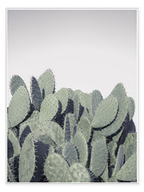 Poster Cactus sur fond grisé