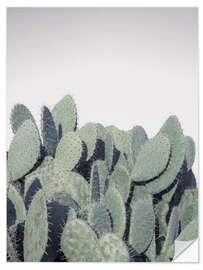 Vinilo para la pared Cacti on grey