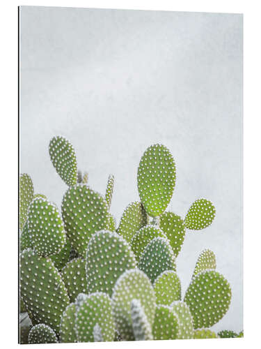 Gallery print Green Cacti