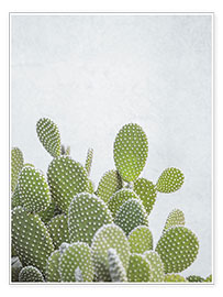 Poster Green Cacti