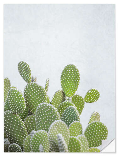 Wall sticker Green Cacti