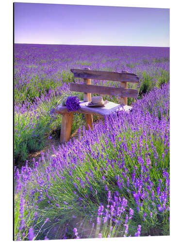 Obraz na aluminium A bench in the lavender field