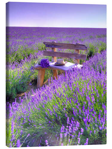 Canvas print A bench in the lavender field