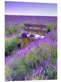 Print på skumplade A bench in the lavender field