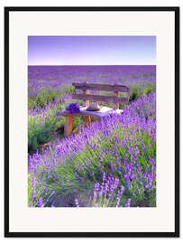 Gerahmter Kunstdruck Eine Bank im Lavendelfeld