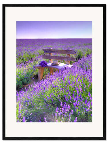 Impressão artística com moldura A bench in the lavender field