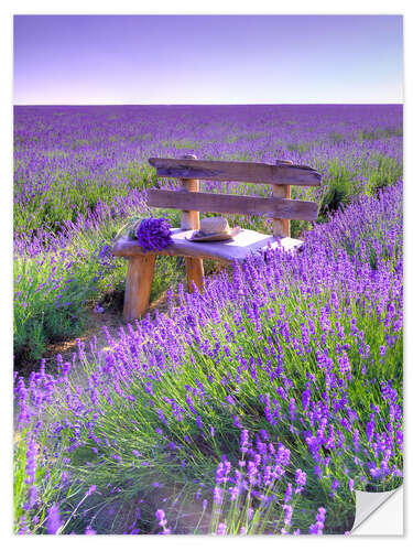 Vinilo para la pared Un banco en un campo de lavanda