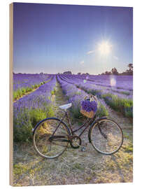 Wood print  A bicycle at the lavender field - Assaf Frank