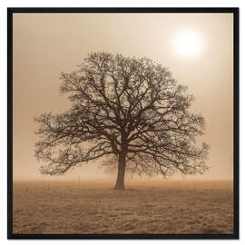 Gerahmter Kunstdruck Baum im Nebel