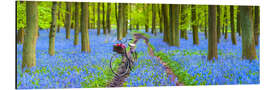 Tableau en aluminium Balade en vélo dans la forêt