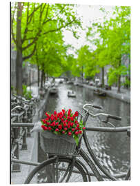 Magnettafel Tulpen in Amsterdam