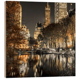 Holzbild Reflektionen im Central Park, NYC