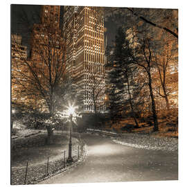 Magnettafel Central Park bei Nacht