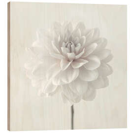 Wood print Dahlia, white on white